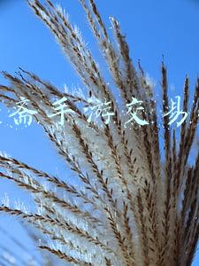 聚宝斋手游交易平台