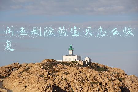 闲鱼删除的宝贝怎么恢复