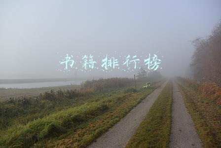 书籍排行榜