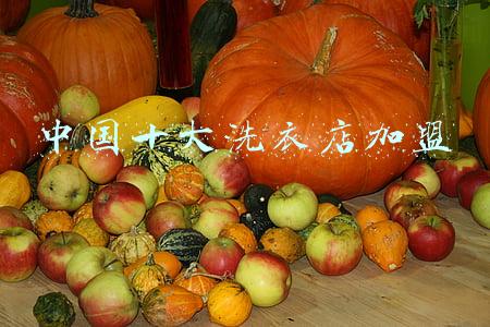 中国十大洗衣店加盟