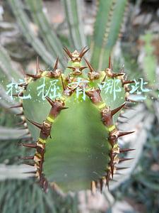 数据挖掘有哪些技术