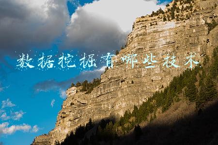 数据挖掘有哪些技术
