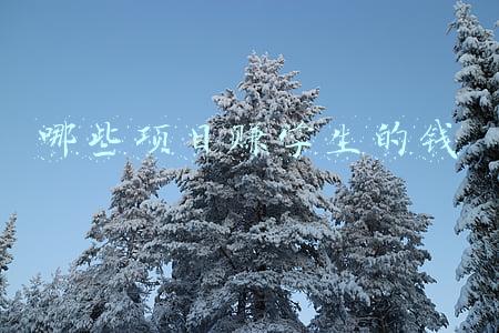 哪些项目赚学生的钱