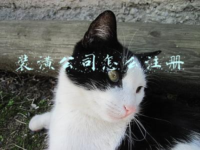 装潢公司怎么注册