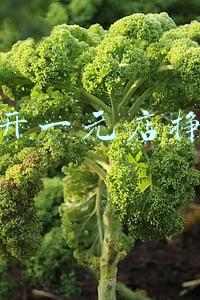 可以开一元店挣钱么