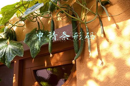 申请条形码去哪个部门(条形码的申请流程如下：)