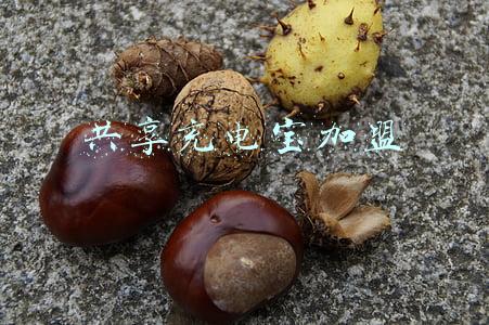 共享充电宝加盟