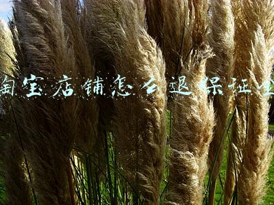 淘宝店铺怎么退保证金