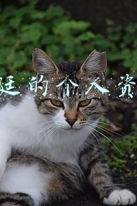张廷的个人资料