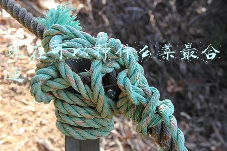 现在可以种什么菜最合适