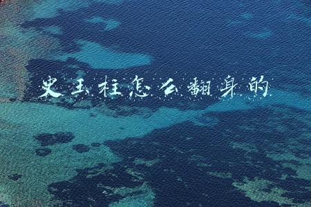史玉柱怎么翻身的
