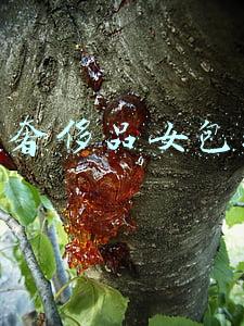 十大奢侈品女包排名