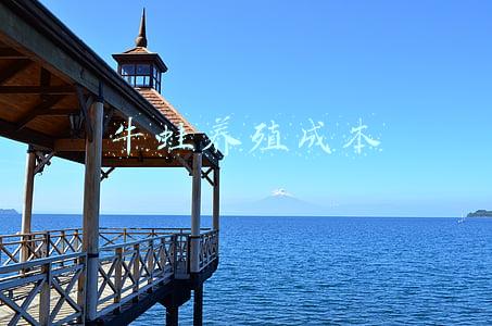 牛蛙养殖成本