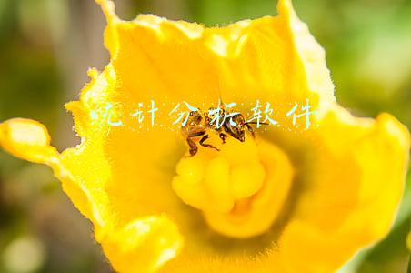 统计分析软件