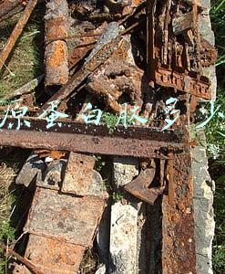 胶原蛋白肽多少钱