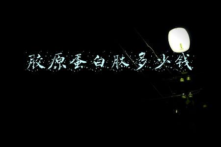 胶原蛋白肽多少钱