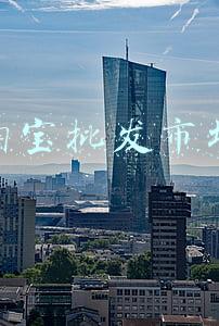 淘宝批发市场进货服装(海外铲屎官新年前来淘宝“进货”宠物新年装出海月销30万件)