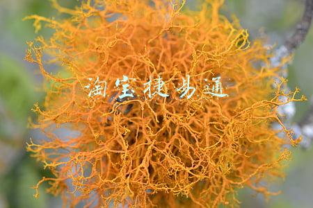 淘宝捷易通