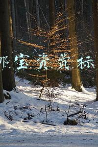 e邮宝资费标准