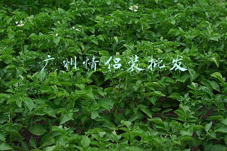 广州情侣装批发