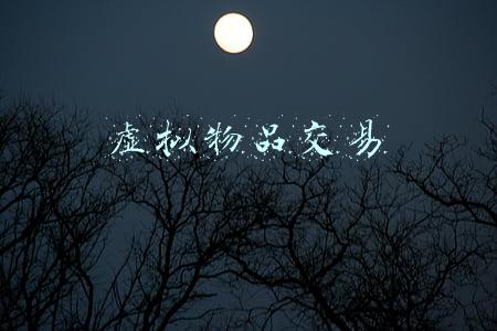 虚拟物品交易合同(NFT平台的格式条款)