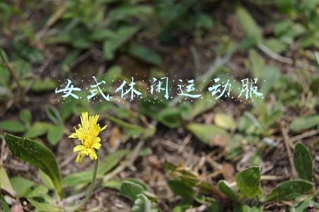 女式休闲运动服