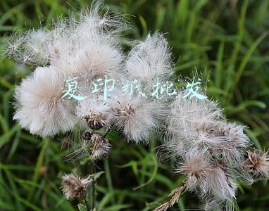 复印纸批发