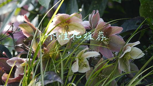 个性化推荐的弊端(让算法推荐不再“算计人”)