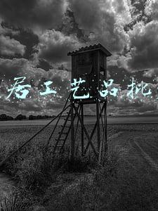 家居工艺品批发