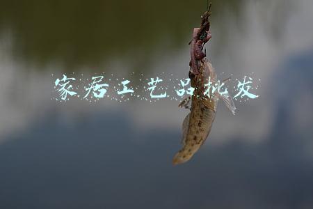 家居工艺品批发