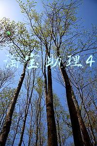 淘宝助理4