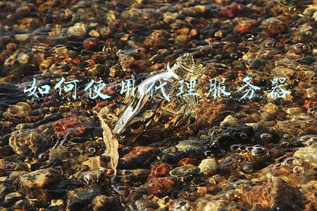 如何使用代理服务器 如何使用代理服务器