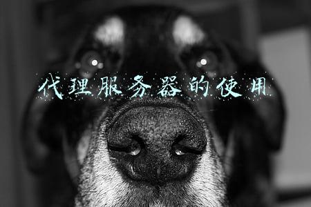 代理服务器的使用