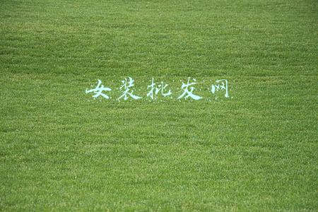 女装批发网