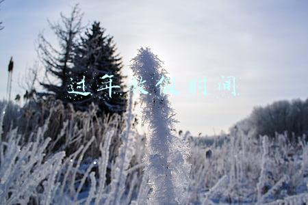 过年放假时间
