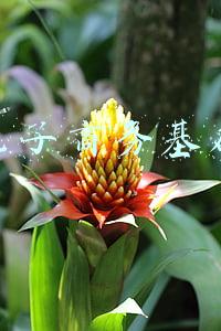 电子商务基础