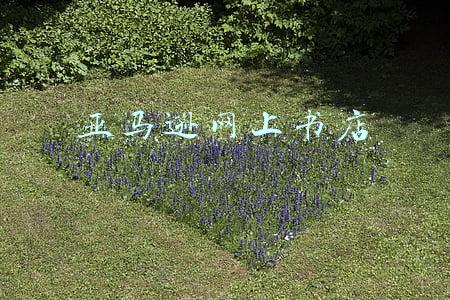 亚马逊网上书店是什么电子商务模式(书店的冬天过去了？亚马逊首开实体书店)