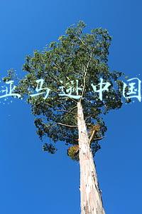 亚马逊中国官网网站(亚马逊中国官网访问异常，提示“意外错误”)