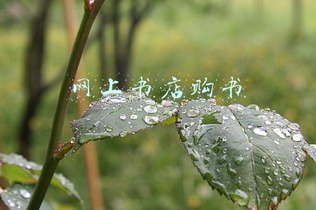 网上书店购书