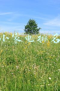 小家电排名