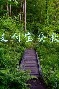 支付宝贷款