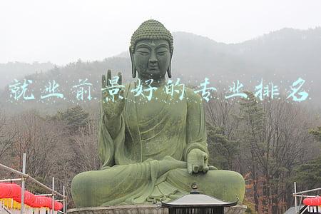 就业前景好的专业排名