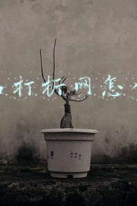 名品打折网怎么样