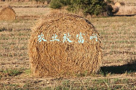 农业致富网