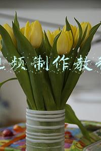 视频制作教程自学(PR零基础从入门到精通(视频教程))