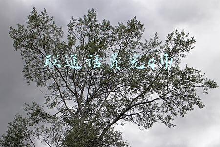 联通话费充q币软件(21独家丨支付互联互通再进一步，银联云闪付接入腾讯和微信部分场景)