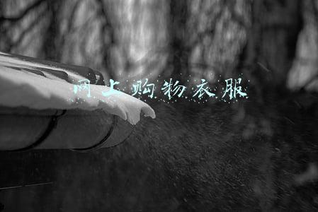网上购物衣服