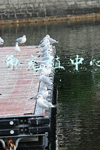 q币充值中心