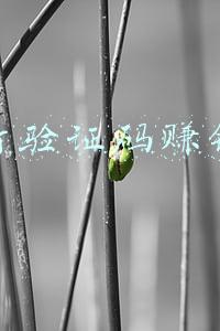 打验证码赚钱