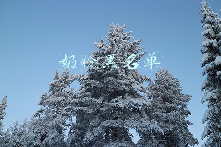 奶粉黑名单